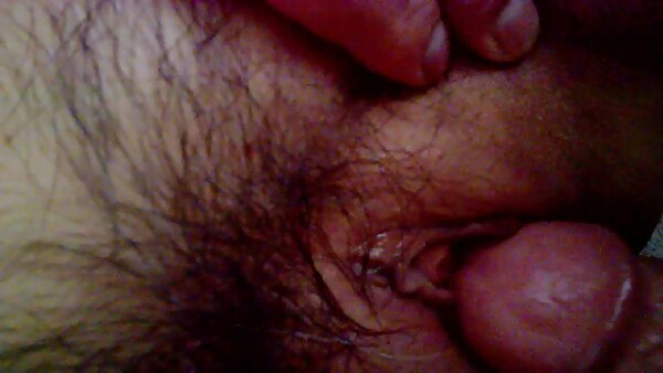 Das vollbusige brünette Luder Jayden James gibt ihrem Liebhaber kostenlose porn film einen tollen Blowjob